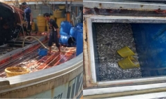Ngư dân bất tỉnh trong khoang chứa cá, 2 người khác xuống cứu, tất cả đều tử vong thương tâm ở Thái Lan