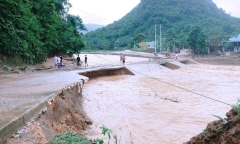 Xuất hiện 