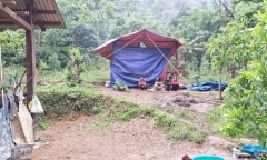 Vụ sát hại 