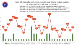 Ngày 28/10: Cả nước có 641 ca mắc mới COVID-19, Ninh Bình bổ sung 1.907 F0
