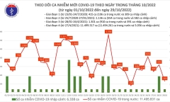 Ngày 29/10: Ca mắc COVID-19 giảm sâu còn 263, 1 F0 tử vong tại Tây Ninh