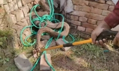 Người đàn ông cưới 3 vợ trong 3 năm, khi bị bắt giữ khai do 