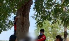 Con trai nói đi lao động ở nước ngoài, 3 ngày sau mẹ