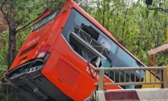 Xe khách lao xuống vực ở Lâm Đồng, khách đập cửa thoát thân
