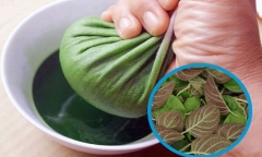 Loại lá mọc đầy vườn không ai thèm ngó, giờ là “bảo bối” giúp đánh bay mụn nhọt