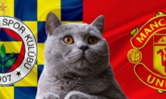 Nhận định soi kèo trận Fenerbahce vs MU, Europa League 2h ngày 25/10: Mèo tiên tri gánh Teams