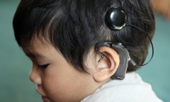 Người điếc bẩm sinh được thi bằng lái xe hạng gì?