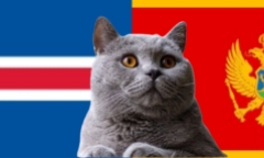 Dự đoán kết quả trận Montenegro vs Iceland, Nations League ngày 17/11: Mèo tiên tri bênh chủ nhà