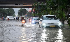 Dự báo thời tiết ngày 19/9: Mưa lớn tập trung ở những tỉnh thành nào trong hôm nay?