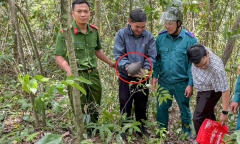 Tin tức thời sự 24h: Hai học sinh THCS giao nộp rùa quý hiếm cho công an 