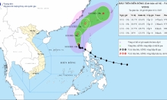 Tin tức dự báo thời tiết hôm nay 5/12: Hà Nội có mưa, trời rét