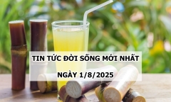 Tin tức đời sống 1/8: Người phụ nữ gặp họa vì uống nước mía để chữa đái tháo đường