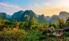 Lịch trình du lịch Cát Bà 2 ngày 1 đêm chi tiết nhất