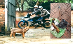 Nghi trộm chó, hai thanh niên bị người dân vây đánh, đốt xe máy