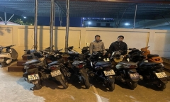 Công an TP. Hải Phòng triệt phá đường dây trộm cắp xe máy