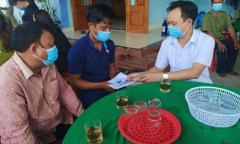 Trèo hái nhãn, bé gái 6 tuổi bị ong vò vẽ đốt tử vong