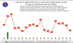 Tình hình dịch COVID-19 ngày 19/11: Thêm 259 ca mắc mới, 1 bệnh nhân tử vong