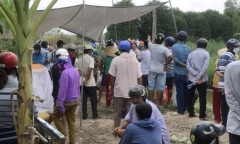 Vụ người đàn ông bị dìm chết dưới vuông tôm: Đưa thi thể con trai về, mẹ già 90 tuổi tử vong