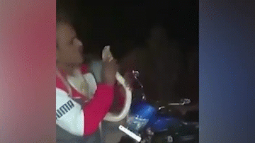 Video: Hôn...rắn hổ mang, người đàn ông Ấn Độ phải trả giá đắt
