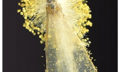 Ăn 