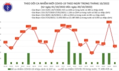 Bản tin COVID-19 ngày 20/10: Việt Nam ghi nhận thêm 541 ca mắc mới, không có ca tử vong