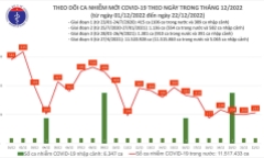 Bản tin COVID-19 ngày 22/12: Thêm 213 ca mắc mới, 1 bệnh nhân tử vong 