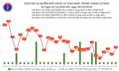 Bản tin COVID-19 ngày 29/12: Thêm 234 ca mắc mới, không có bệnh nhân tử vong 