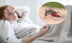 WHO tuyến bố vaccine phòng sốt rét RTS,S giúp giảm tỷ lệ tử vong