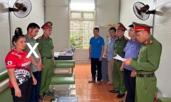 Khởi tố trưởng bản hủy hoại rừng lấy đất trồng cây cà phê