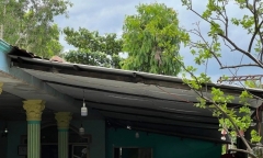 Trèo lên mái tôn kiểm tra dây điện, người đàn ông ở TP.HCM bị điện giật tử vong