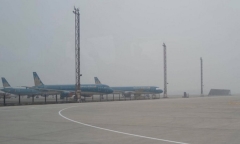 Đà Nẵng sau bão số 13 Kalmaegi: Loạt cây ven biển bật gốc, đường phố ngập rác