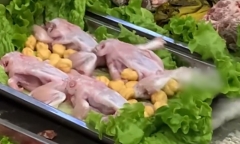 Ếch đã chế biến vẫn bật nhảy tanh tách trên bàn ăn khiến thực khách hú hồn