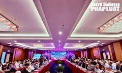 Phát triển cà phê sinh thái, nâng tầm thương hiệu Arabica Sơn La