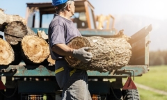 Tình trạng trộm củi gia tăng do khủng khoảng năng lượng ở châu Âu 