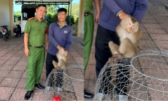 Bắt đối tượng truy nã Nguyễn Trí Đức