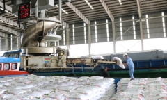 Ngành xi măng gặp khó khăn lớn trong sản xuất và tiêu thụ