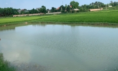 Đi tắm ao, hai học sinh lớp 8 đuối nước tử vong 