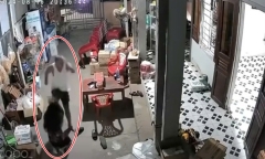 Vụ vợ ăn hết cá bị chồng đánh dã man: Diễn biến bất ngờ