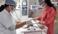 Đi chăn dê, người đàn ông hoảng hồn phát hiện bé sơ sinh bị lấp dưới đất 
