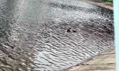 Vụ thi thể người đàn ông nổi trên hồ Linh Đàm: Hé lộ nguyên nhân