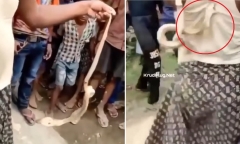 Video: Đùa giỡn với rắn hổ mang, người đàn ông trả giá bằng cả tính mạng