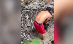 Người đàn ông thảnh thơi lựa cá mà không lo chúng chạy mất