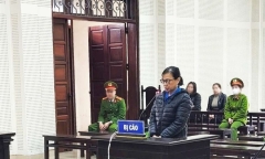 Lừa đảo hơn 12 tỷ đồng, 