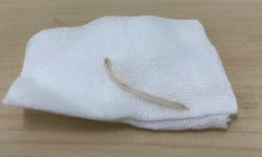 Tin tức đời sống ngày 21/4: Người đàn ông bị xương cá ghim vào dây thanh quản