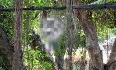 Long An: Đứng tránh nắng dưới gốc cây, phát hiện người đàn ông tử vong trong tư thế treo cổ