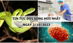 Tin tức đời sống mới nhất ngày 2/10: Cứu người đàn ông bị ngã ở độ cao 5m, đập ngực xuống nền cứng