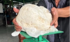 Tin thời sự mới nóng nhất 21/11: Ngư dân vớt được vật lạ nghi là long diên hương quý hiếm