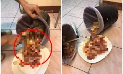Đôi vợ chồng vừa đưa con rời đi, nhà hàng buffet phát hoảng khi thấy thứ trong thùng rác