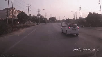 Cảm động khoảnh khắc chú chó chặn ô tô giúp cụ bà qua đường