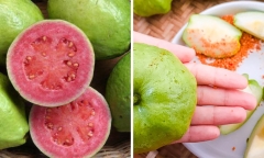 Loại